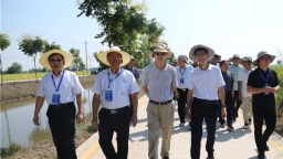300多名院士专家齐聚 全国水稻界“顶流”盛会落地荆州