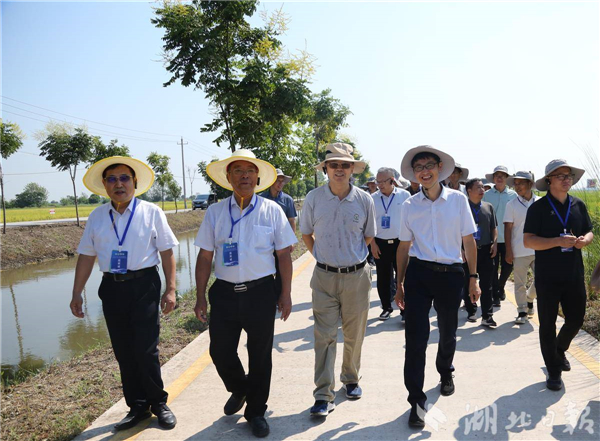 300多名院士专家齐聚 全国水稻界“顶流”盛会落地荆州_fororder_3782b7eaf4ee41e18b09d84dfa973b96