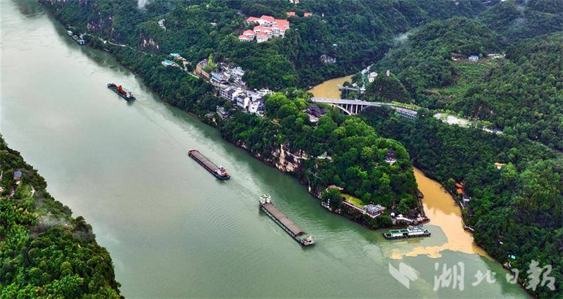 长江西陵峡峡口现 “泾渭分明” 景观_fororder_微信图片_20250701094336