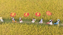 50个！武汉对标景区遴选“三宜”乡村