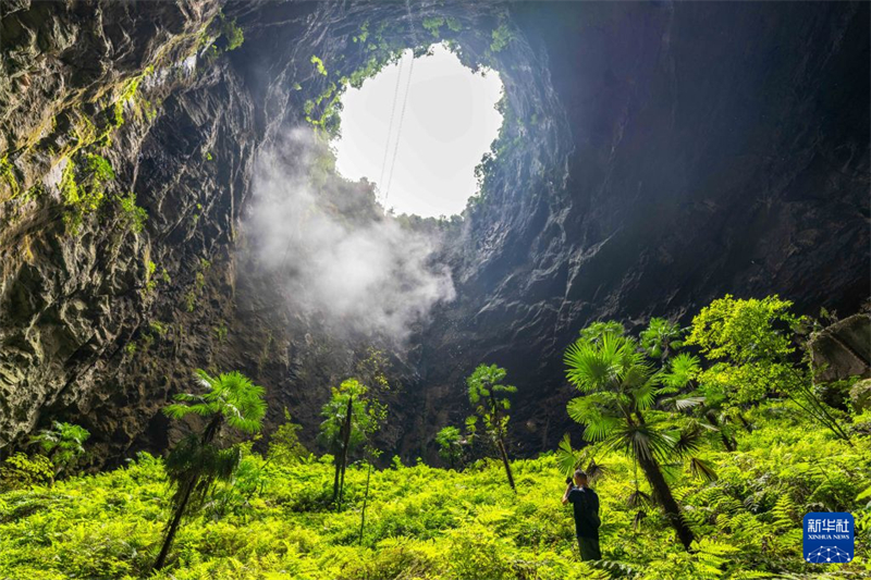 湖北宣恩:游绿水青山 享夏日清凉