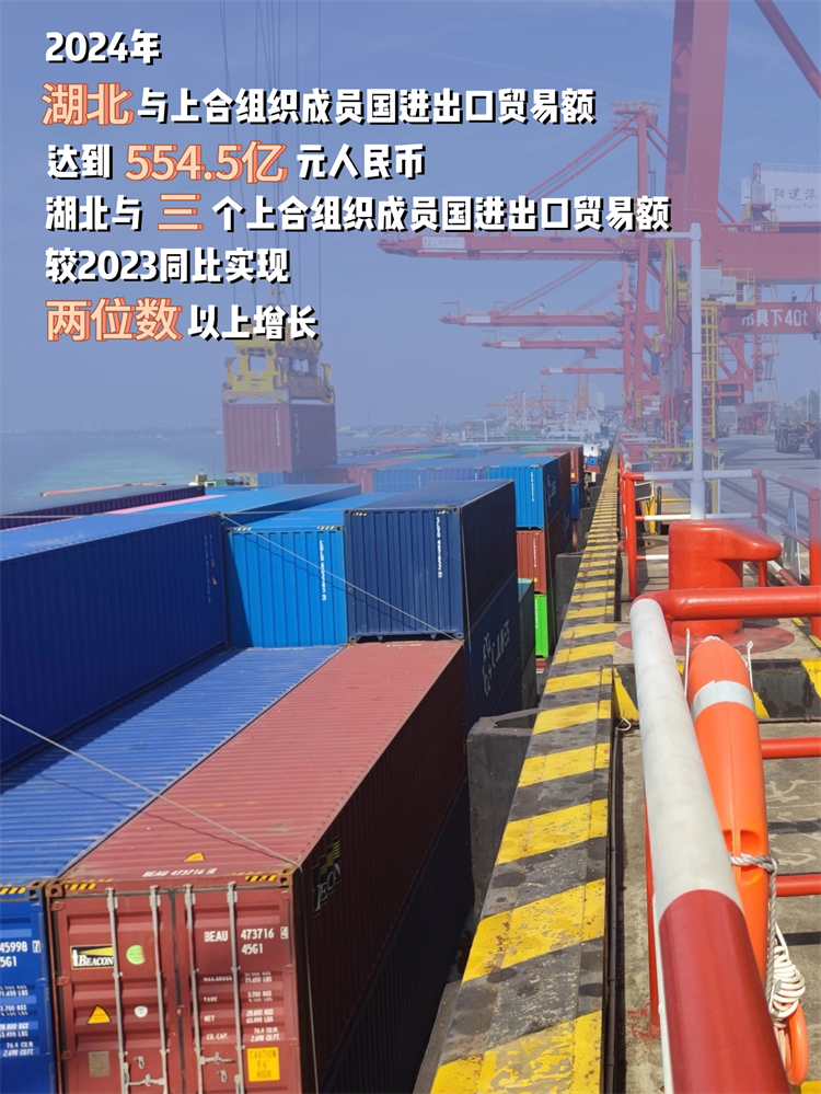 【请总网老师送三审】湖北与上合组织成员国贸易往来日益紧密 中欧班列与花湖机场成双引擎_fororder_13