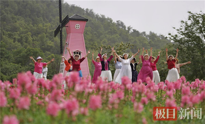 武汉东湖现花毯盛景 4万平方米金鱼草花海引游客打卡_fororder_db350f43144e42649af354a104044701