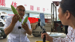 图片默认标题