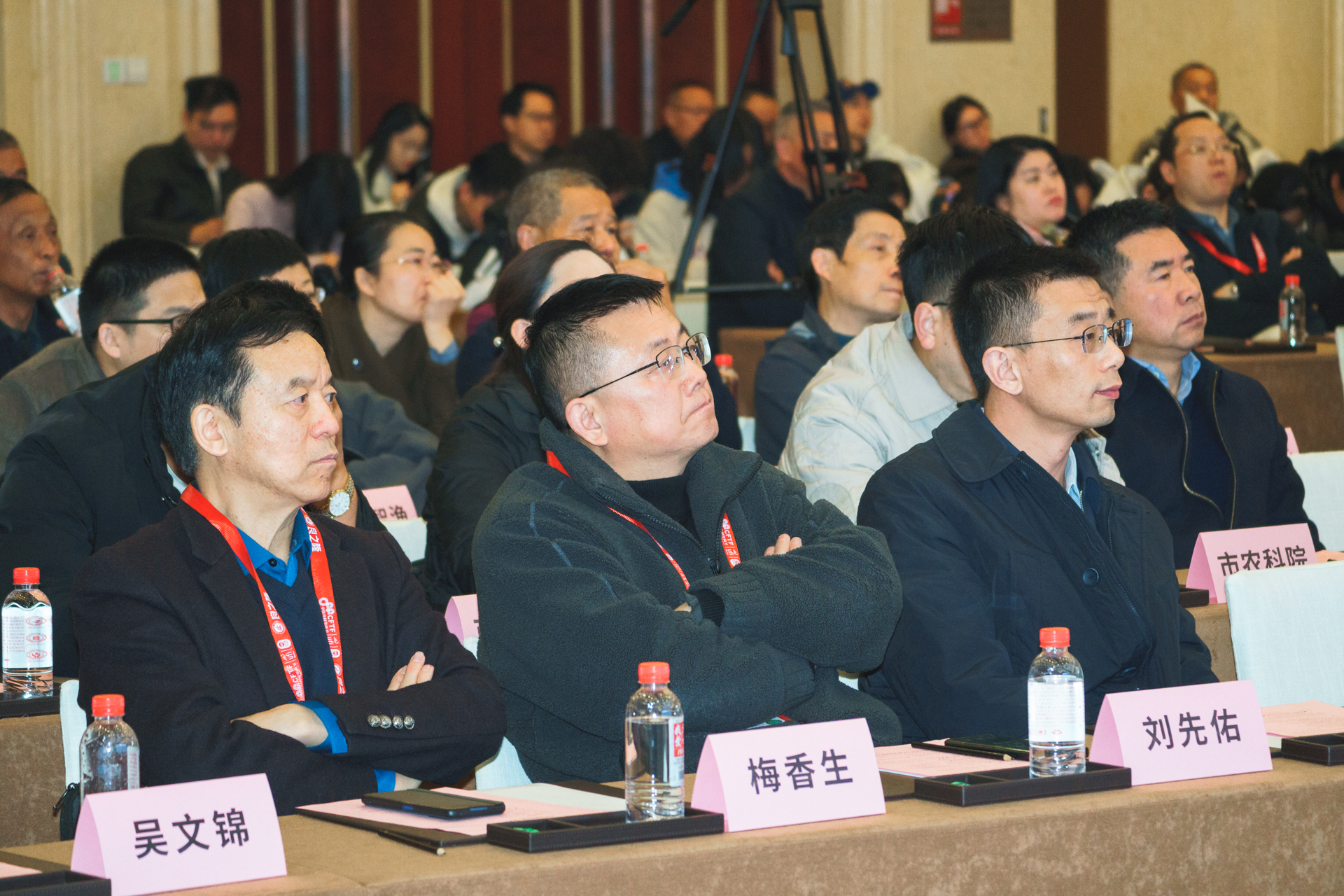 原标题：2025年淡水鱼加工业发展大会在汉举行 千湖链动新质生产力