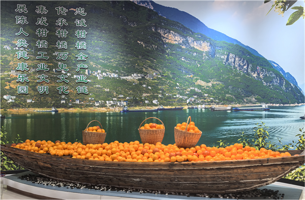 湖北长阳：锻造高素质干部队伍 赋能县域经济高质量发展_fororder_05