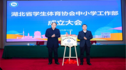 湖北省学生体育协会召开会员大会并成立中小学工作部