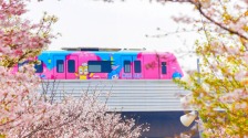 湖北武汉：地铁串联满城春色
