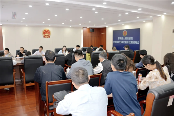 湖北罗田：511处不可移动文物在“检察蓝”守护下重焕生机_fororder_图片39