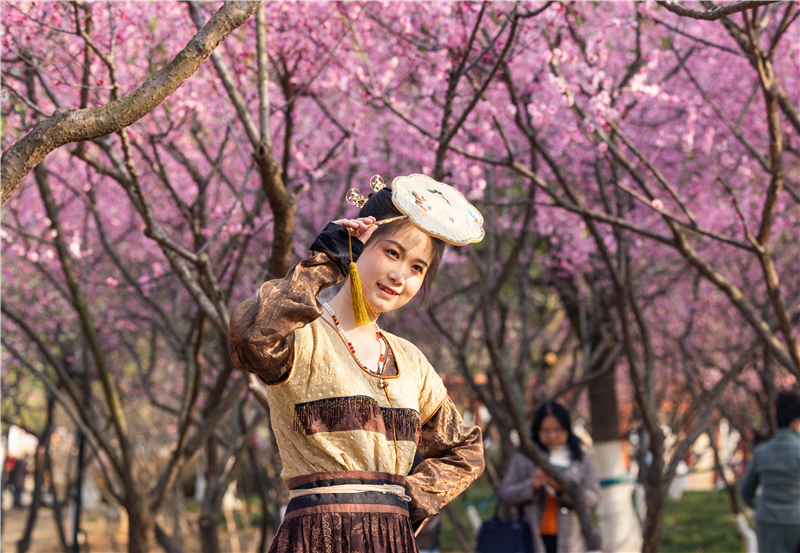 武汉花海“梅”景引客来