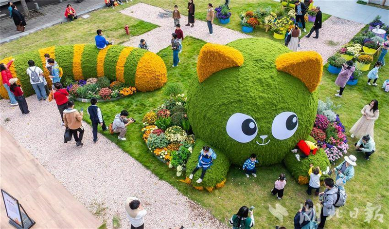 武汉金秋菊展打翻调色盘_fororder_微信图片_2025-11-03_093202_499