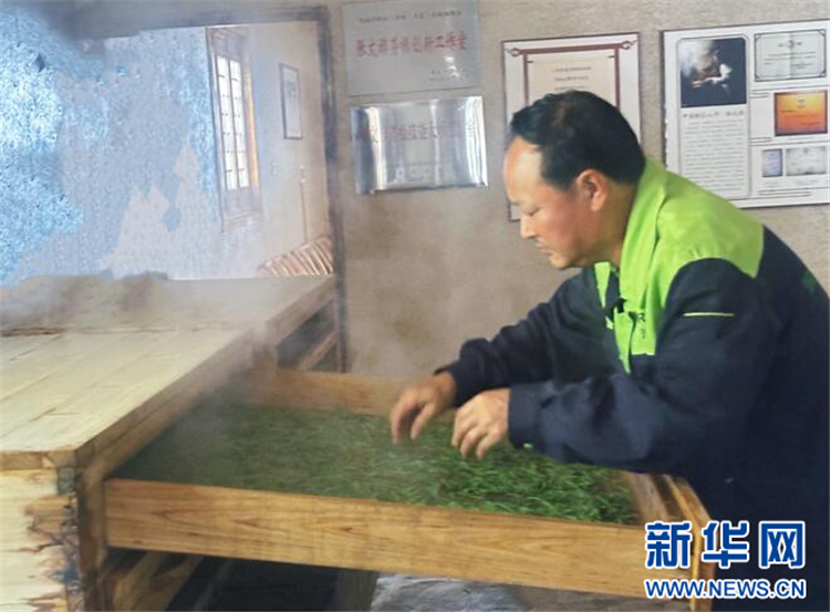 地理标志赋能鄂西茶产业：一片叶子的产业觉醒_fororder_202505076ad0770477424162953884984b2cd360_2025050763264e9663c44ce3852e5867a19d9d10