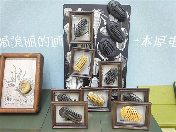 湖北省新发现万余处文旅“宝藏”_fororder_微信图片_20250626093000