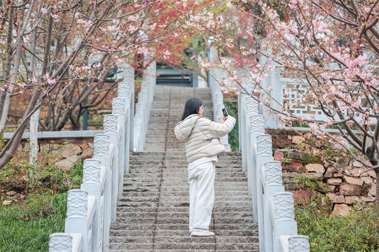 图片默认标题_fororder_图片31