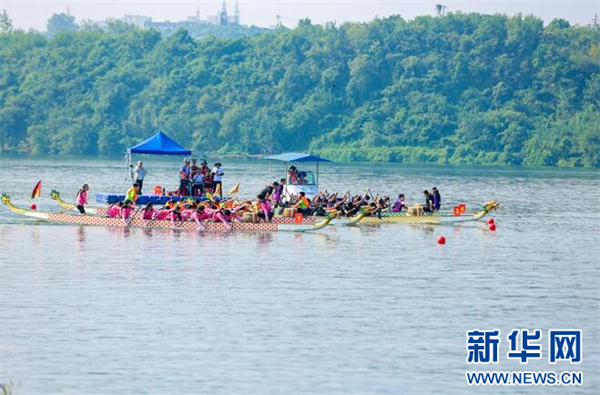 全国65支青少年龙舟队湖北宜昌挥浆
