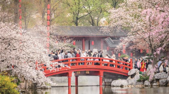 清明小长假收官 湖北何以成为全国踏春顶流？