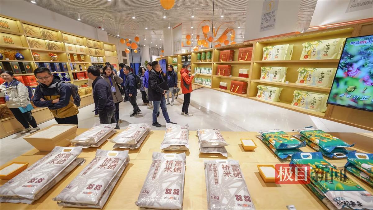 “飞”起来玩！湖北荆门运动休闲旅游搭上高铁快车