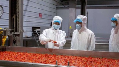 湖北小龙虾加速“游”向世界 前4月出口增长近三成