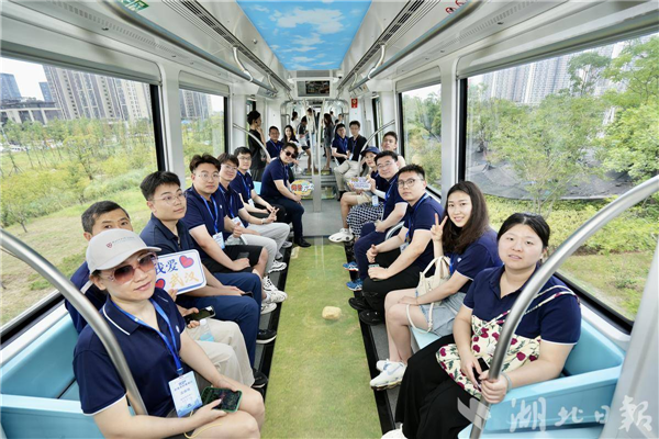 3300万高端人才库 湖北全球“摇人”一键触达_fororder_02