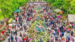 现场火爆！“武汉都市圈”花展开幕