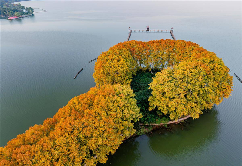 “金钥匙”打开武汉东湖秋色 “金钥匙”打开武汉东湖秋色_fororder_85b78729bb06414383fc819c8d061151