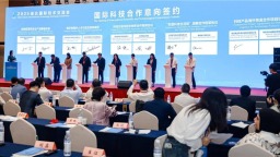 图片默认标题