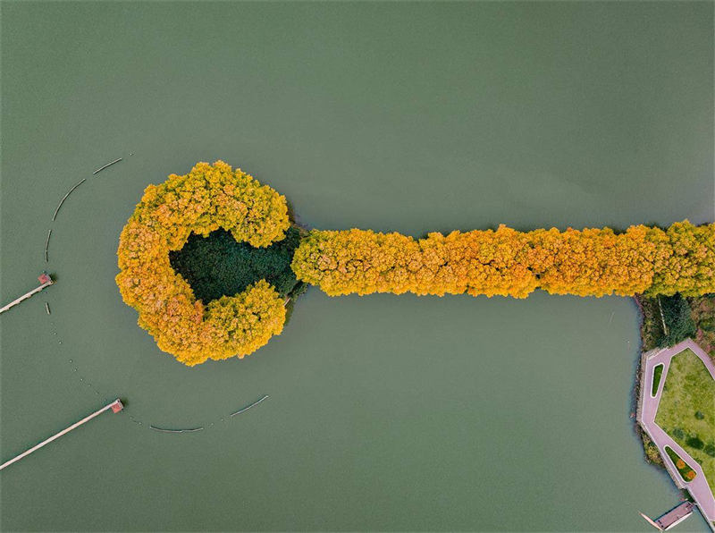 “金钥匙”打开武汉东湖秋色 “金钥匙”打开武汉东湖秋色_fororder_967f064cc20f492d8f2d94a055b32422