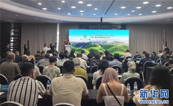 湖北鹤峰茶商大会开到非洲 每年1.3万吨鹤峰茶销往海外_fororder_20250825f6527857d9b7413ba8005abef4a79f18_202508251bcba82fa7a04b4b8588240b3ac8007e