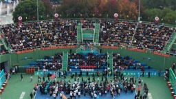 京山首创“网球城市主理人”机制 赛事带动消费超2375万元