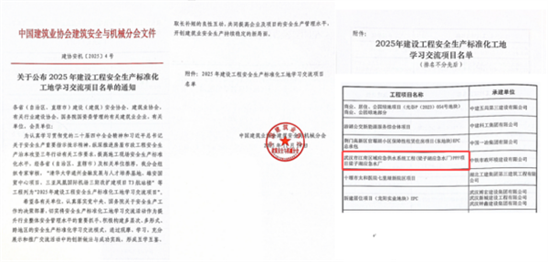 武汉梁子湖应急水厂建设上榜“国家级安全标杆项目_fororder_微信图片_20251225170554