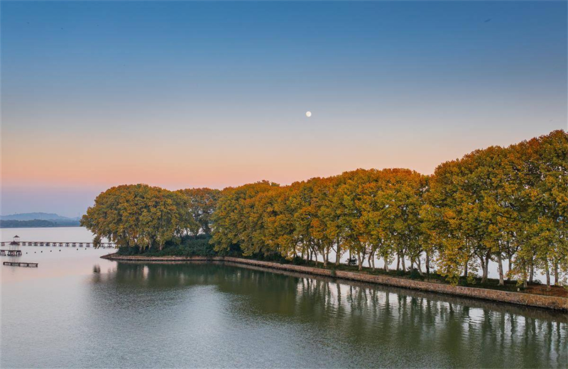 “金钥匙”打开武汉东湖秋色 “金钥匙”打开武汉东湖秋色_fororder_b5a3ec8c12d446f8b29ff85caaea85e7