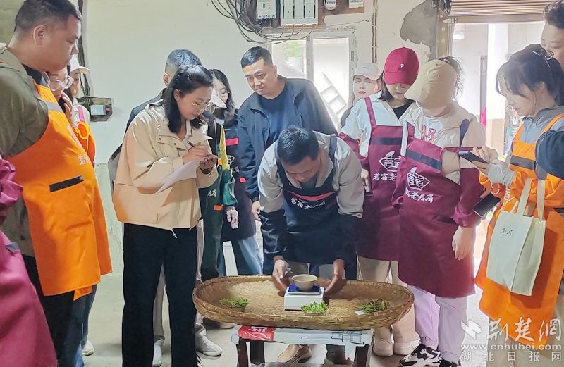 “荒野寻茶“”火爆出圈，第九届红安老君眉茶文化节开幕