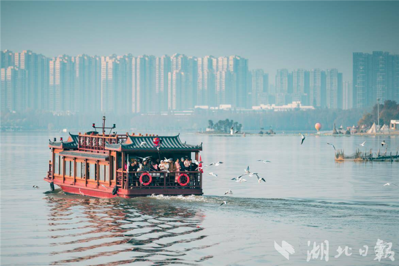 赏樱逐浪追风观鸟 武汉东湖发布四季游线_fororder_微信图片_20250520092638