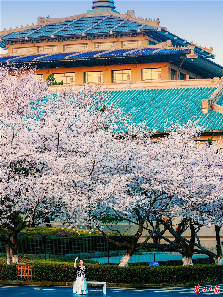 全市文化旅游发展大会｜武汉，锚定国际文旅新坐标_fororder_d4d272f3da4f14e5294001e874673491