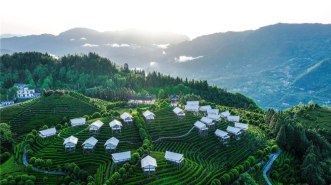 茶山小帐篷撑起文旅消费新场景
