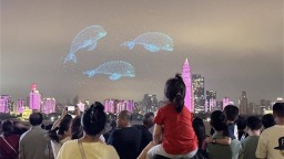 长江江豚将“游”进武汉文旅新场景