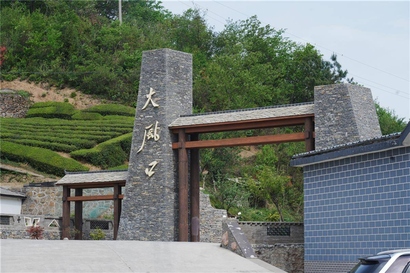 湖北茶产业长成国际范_fororder_微信图片_20250509092725