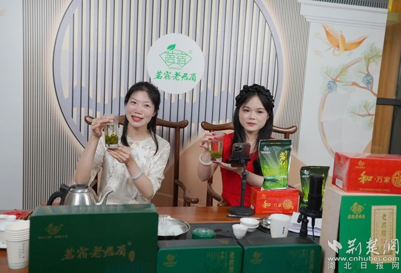 “荒野寻茶“”火爆出圈 第九届红安老君眉茶文化节开幕_fororder_Weixin Image_20250513153825