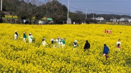 湖北咸安：花漾经济涌春潮