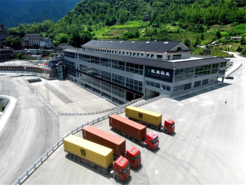 湖北鹤峰：从有机茶园到全球市场 鹤峰式服务助力大宗茶扬帆出海_fororder_05