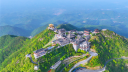 湖北随州：文旅融合解锁“花经济”