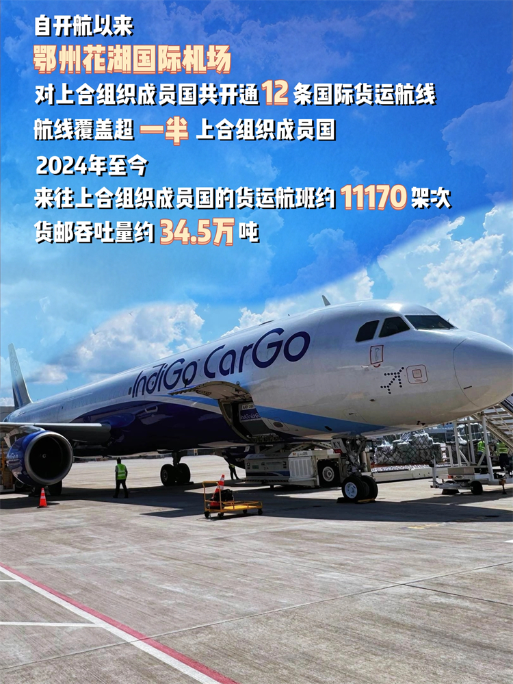 【请总网老师送三审】湖北与上合组织成员国贸易往来日益紧密 中欧班列与花湖机场成双引擎_fororder_11