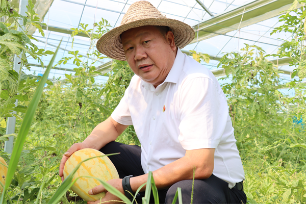 九载履职路一颗“西瓜心” 人大代表田光成种出乡村“甜蜜果”_fororder_图片1