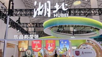 全球好物“扎堆”海口！50余家鄂企携“尖货”亮相第六届消博会