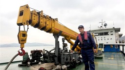 大江奔涌楚天阔 荆楚大地绿意浓