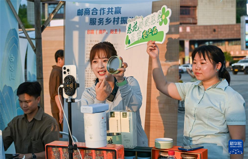 湖北来凤：藤茶富农兴产业_fororder_20250802d844e1ae8c3d4fbfb1d0789e46d3ff61_20250802f7cdaf01261747a5a595c3678d1731e6