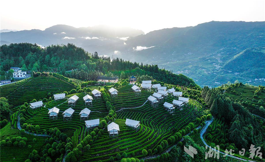 茶山小帐篷撑起文旅消费新场景_fororder_微信图片_20250513092458