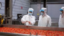 湖北小龙虾加速“游”向世界 前4月出口增长近三成