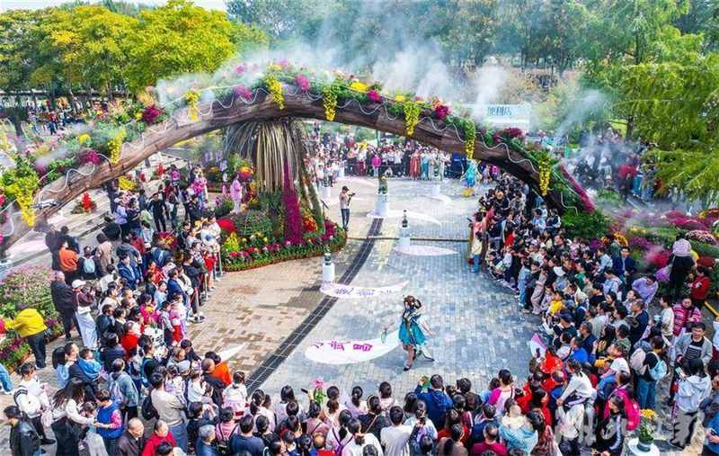 武汉金秋菊展打翻调色盘_fororder_微信图片_2025-11-03_093107_721