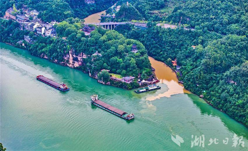 长江西陵峡峡口现 “泾渭分明” 景观_fororder_微信图片_20250701094329